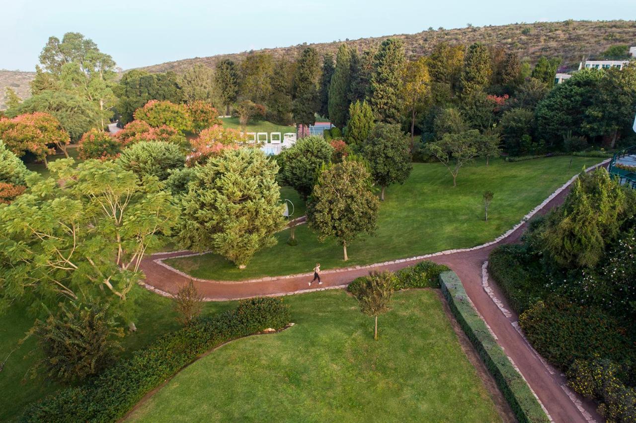 Carmel Forest By Isrotel Exclusive Отель 5*