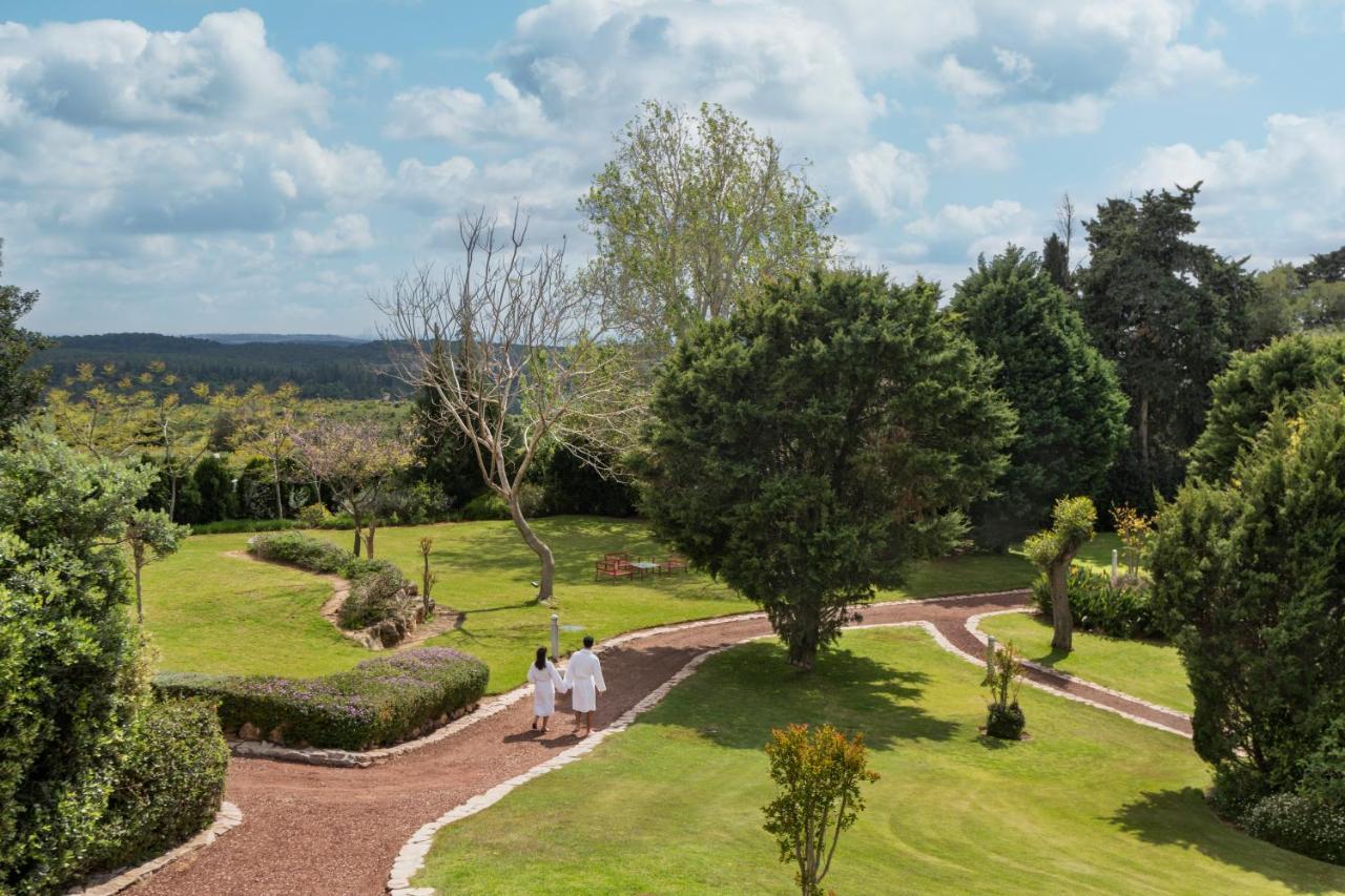 Отель Carmel Forest By Isrotel Exclusive 5*