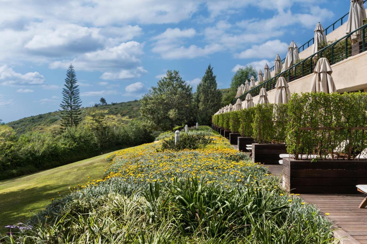 Carmel Forest By Isrotel Exclusive Отель 5*